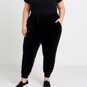 NWT CURVY SENSE Nordstrom Velvet Drawstring Jogger Pants